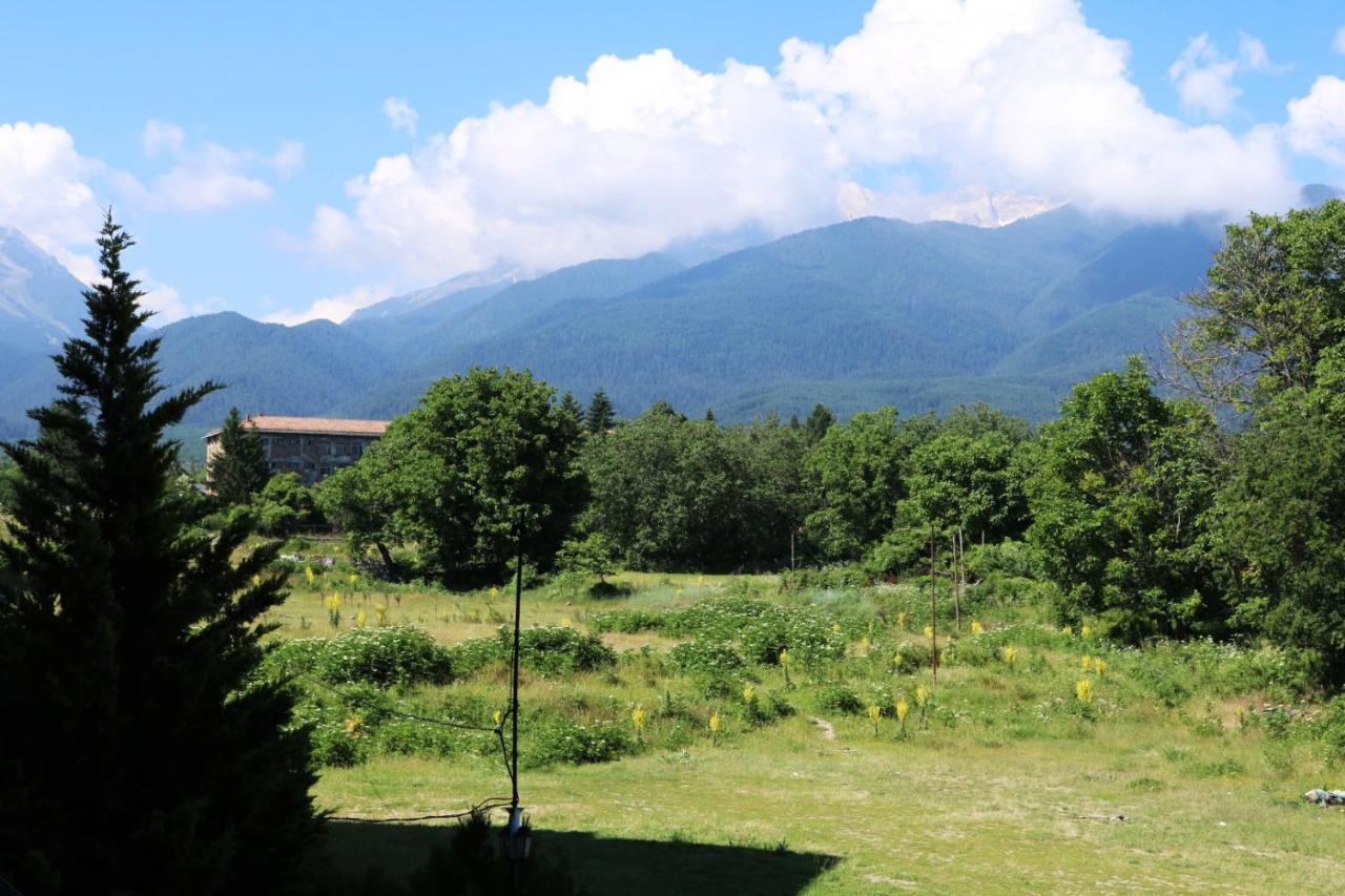 Private Apartments In Alpine Lodge Bansko Ngoại thất bức ảnh