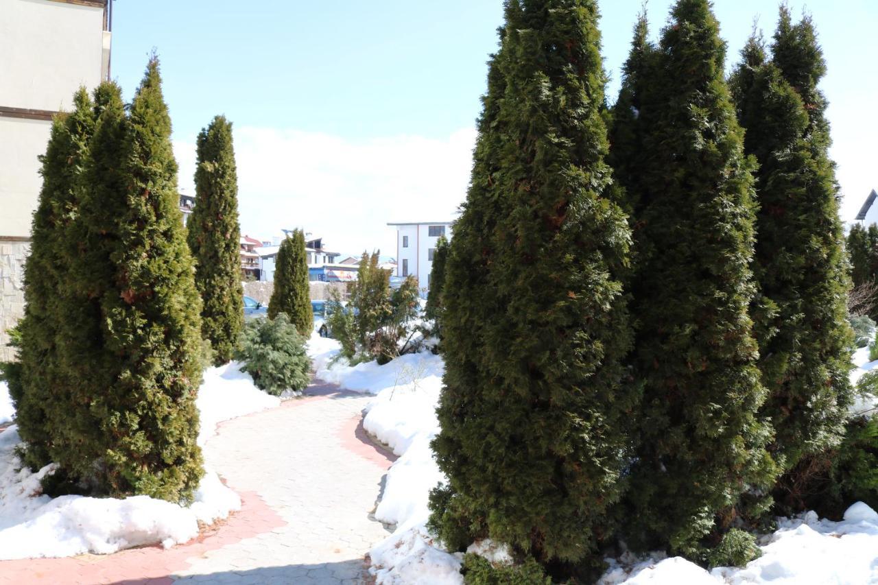 Private Apartments In Alpine Lodge Bansko Ngoại thất bức ảnh